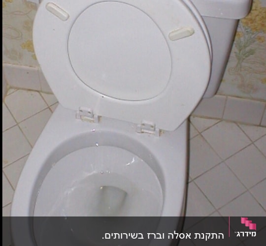 אסלה עם מכסה פתוח וחומרי ניקוי על הניאגרה